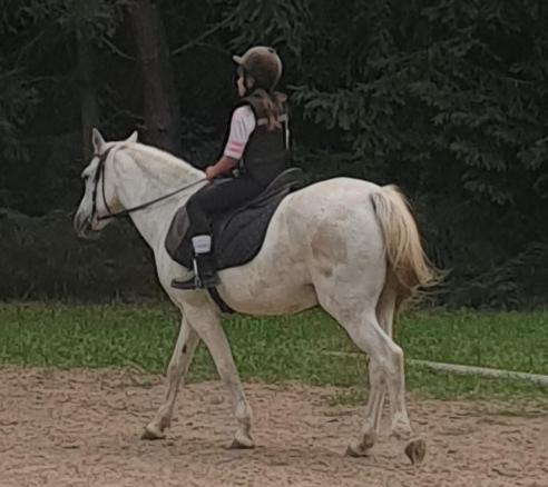 Domek Pod Trzema Kuropatwami Ily Kolo Urli Esterno foto